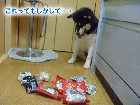 おやつもらう01.jpg