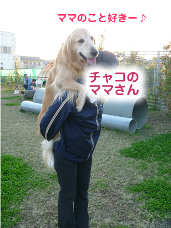 おんぶ04.jpg