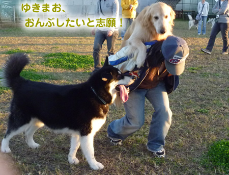おんぶ05.jpg