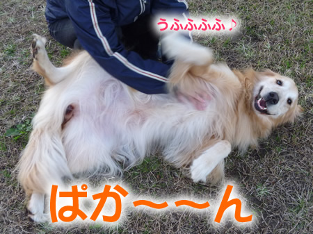 おんぶ08.jpg