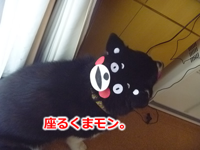 くまもん4.jpg