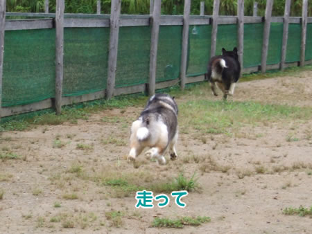 ぐいのみ03.jpg