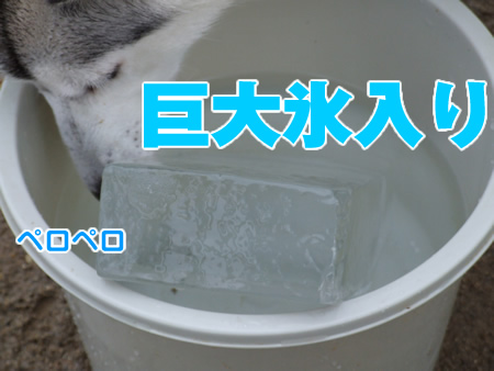 ぐいのみ06.jpg