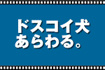 どすこい犬150.gif