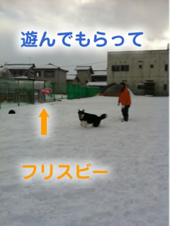 ひとりぼっちのドックラン雪原編06.jpg