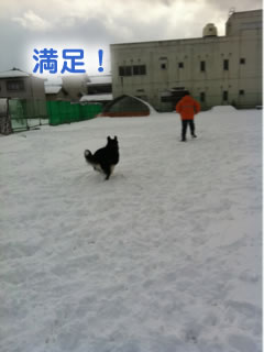 ひとりぼっちのドックラン雪原編07.jpg