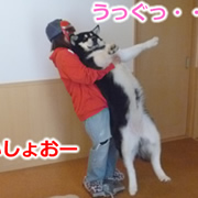 ゆきまお.jpg