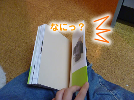 わんこ本06.jpg