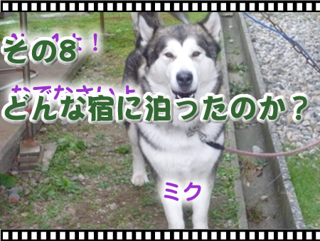 アーカイブ08.jpg