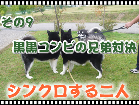 アーカイブ09.jpg