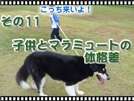 アーカイブ11.jpg