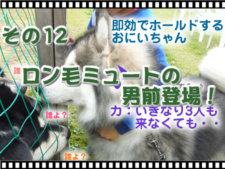 アーカイブ12.jpg