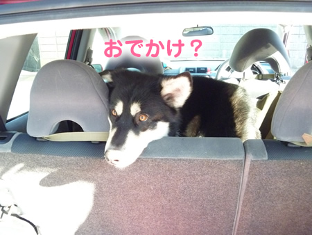 ウェリナ01.jpg