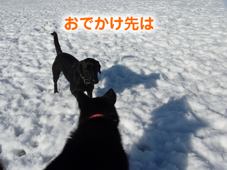 ウェリナ03.jpg