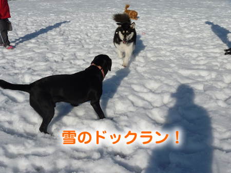 ウェリナ04.jpg