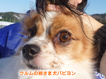 ウェリナ10.jpg