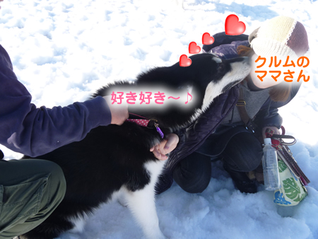 ウェリナ11.jpg