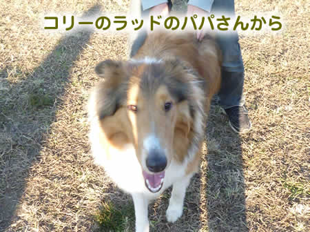 カッパ01.jpg