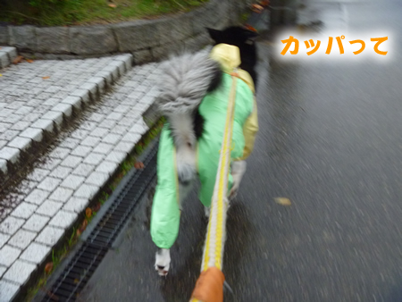 カッパ10.jpg