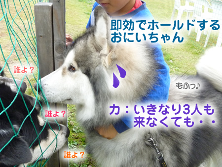 カムル02.jpg