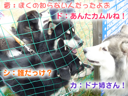 カムル03.jpg