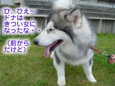 カムル05.jpg
