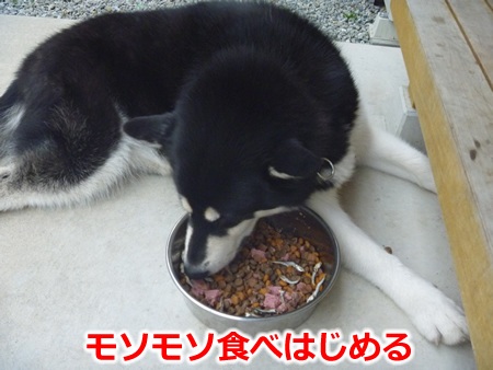 カリカリ05.jpg