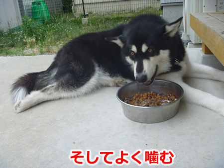 カリカリ07.jpg