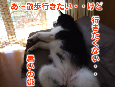 ガオー06.jpg