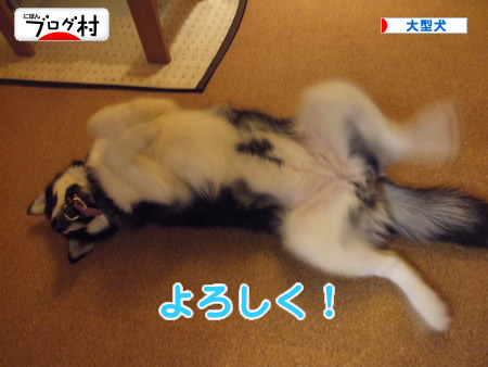 キムタク.jpg
