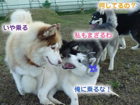 キーファー02.jpg