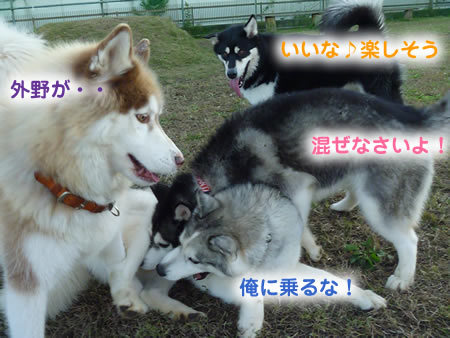 キーファー03.jpg