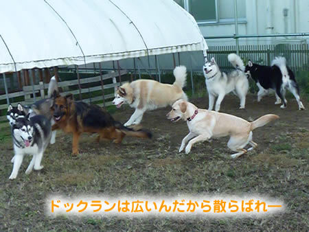 キーファー05.jpg