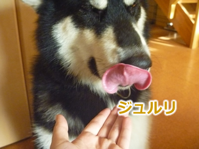 ケガハゲ10.jpg