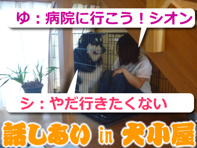ケガハゲ15.jpg