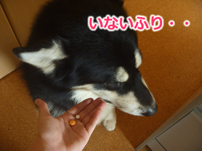 ケガハゲ6.jpg