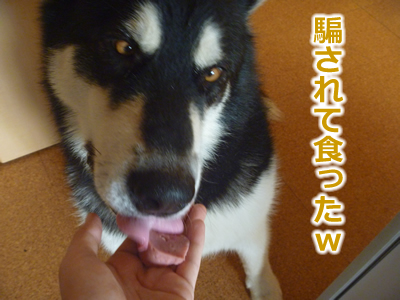 ケガハゲ9.jpg