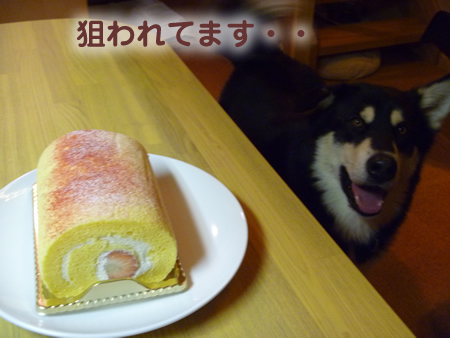 ケーキ02.jpg