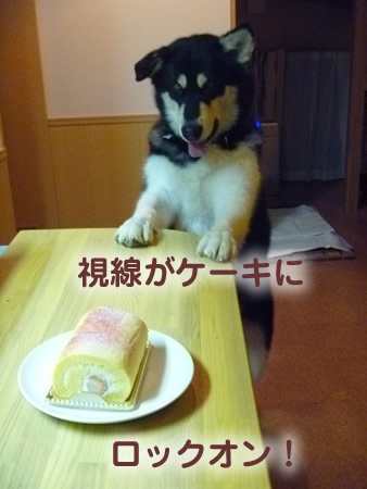 ケーキ03.jpg
