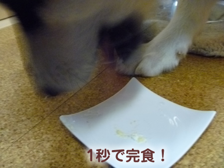 ケーキ06.jpg