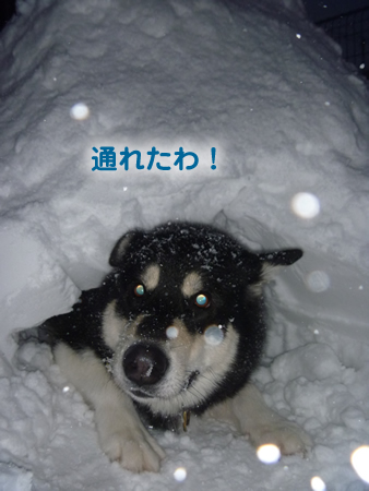トンネル04.jpg