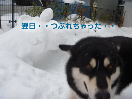 トンネル05.jpg