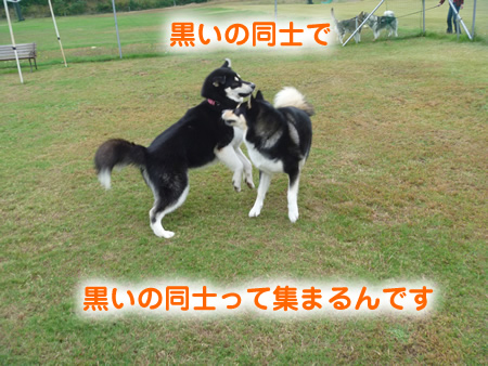 ナナ03.jpg