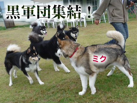 ナナ04.jpg