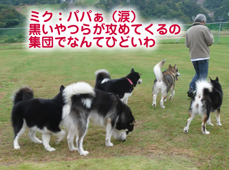 ナナ06.jpg