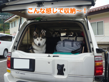 ナナ07.jpg