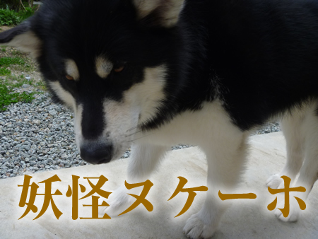 ヌケーホ.jpg