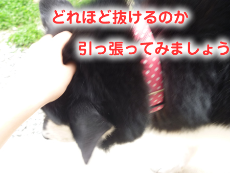ヌケーホ2.jpg