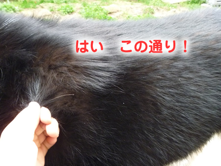 ヌケーホ3.jpg