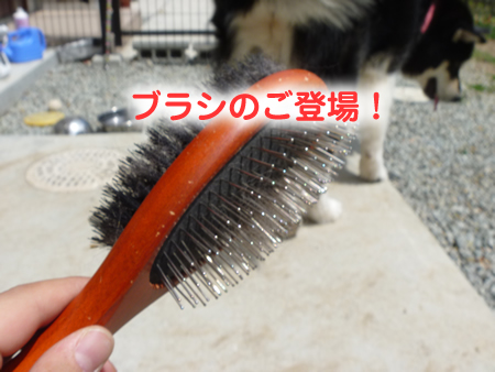ヌケーホ4.jpg